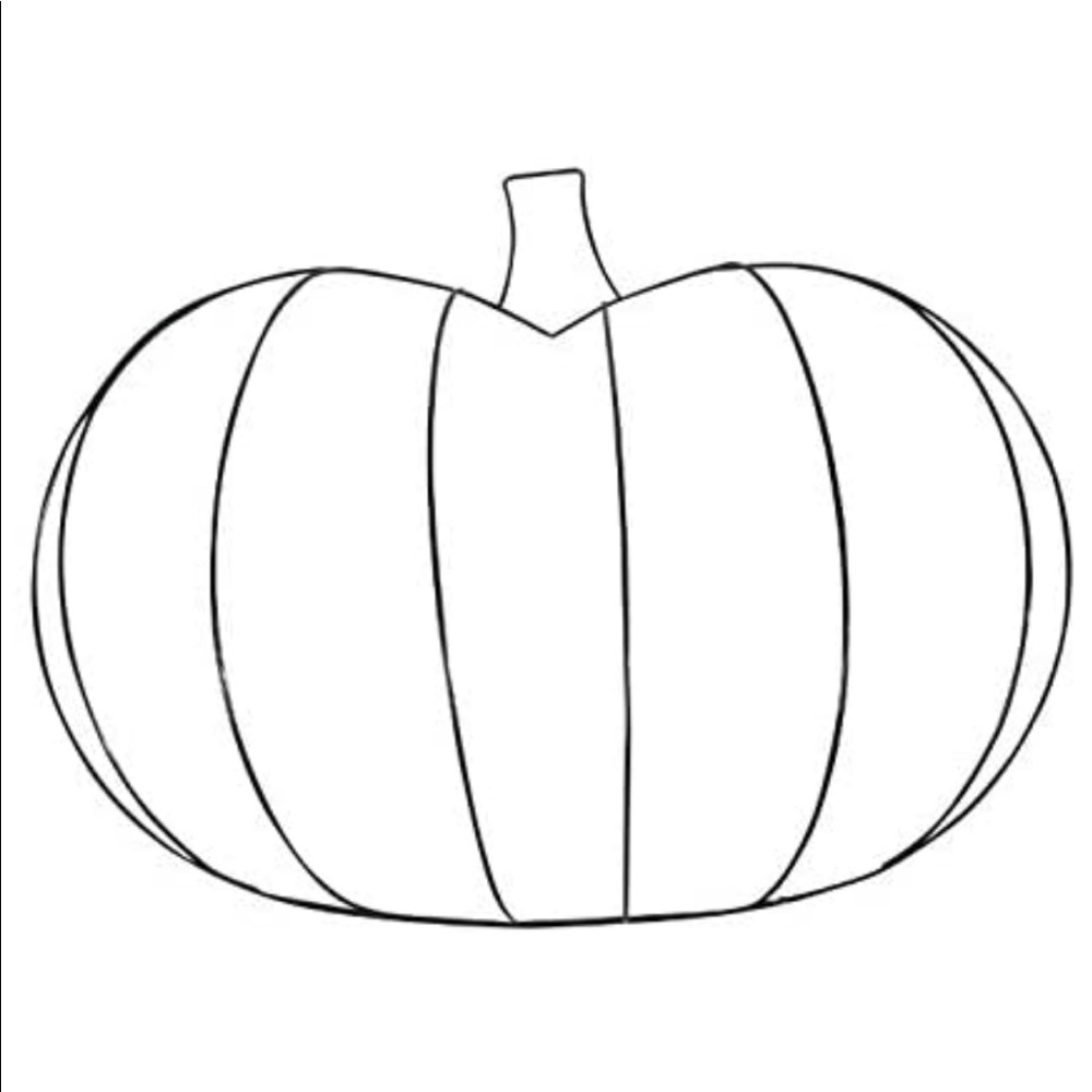 🎃 pumpkin mental wreath form BNWT